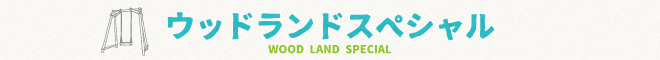 木製　遊具　ウッドランド　スペシャル